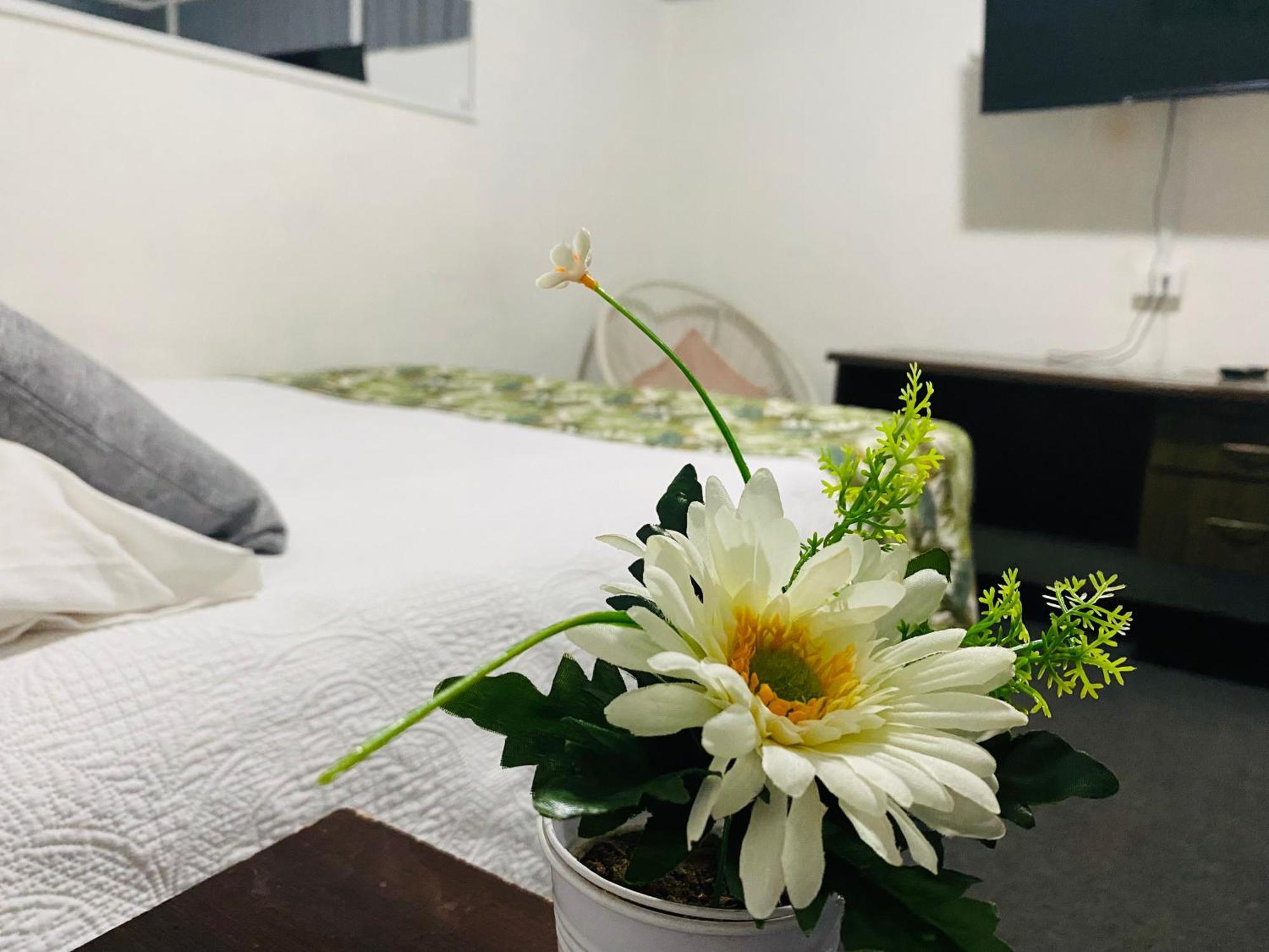 Hostal 3 Norte 산 안토니오 외부 사진