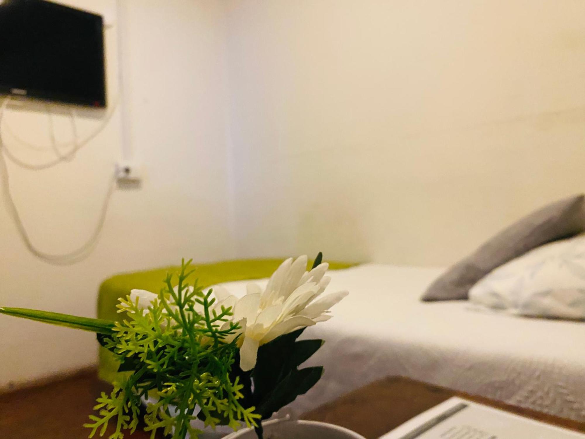 Hostal 3 Norte 산 안토니오 외부 사진